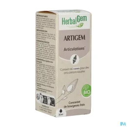 Artigem Bio Pour le Maintien de la Souplesse Des Articulations Complexe de Gemmothérapie Concentrée 30 ml