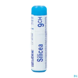 Boiron Silicea dose