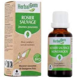 Herbalgem Rosier Sauvage Bio