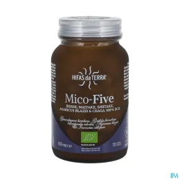 Hifas da Terra Mico-Five