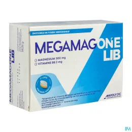 Megamag One