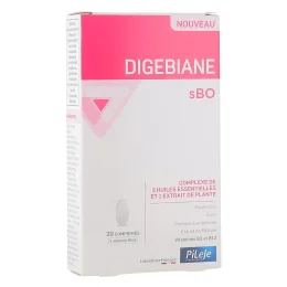 Pileje Digebiane sBO