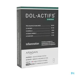 Synactifs Dol Actifs Inflammation