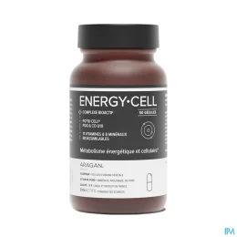 Synactifs Energy Cell Métabolisme Energétique et Cellulaire