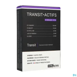 Synactifs Transit Actifs