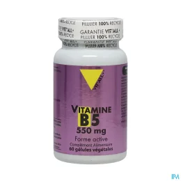 Vit'All+ VITAMINE B5 550mg 60 gélules
