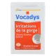 Vocadys Pâtes à Sucer Irritations de la Gorge