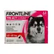 Frontline Tri-Act Chien Pipettes