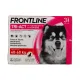 Frontline Tri-Act Chien Pipettes