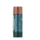 Dermophil Soin Teinté Protection Lèvres