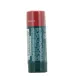 Dermophil Soin Teinté Protection Lèvres