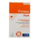 Formag Fort