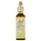 Fleurs de Bach White Chesnut n°35