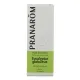 Pranarom Huile Essentielle Eucalyptus globuleux