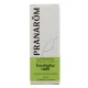 Pranarom Huile essentielle Eucalyptus radié