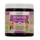 Herbalgem Stomagem Confort Digestif Bio