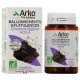 Arkogélules Charbon Végétal Activé Bio