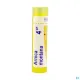 Boiron Arnica Montana Granules