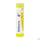 Boiron Belladonna granules