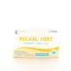 Dielen Molval Fort