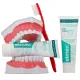 Elmex Sensitive Professional Dentifrice