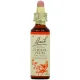 Fleurs de Bach Cherry Plum n°6