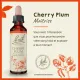 Fleurs de Bach Cherry Plum n°6