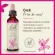 Fleurs de Bach Oak n°22