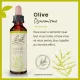 Fleurs de Bach Olive n°23
