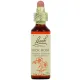 Fleurs de Bach Rock Rose n°26