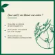 Fleurs de Bach Walnut n°33