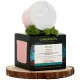 Garancia Etoile du Jour Crème Rose Suprême Volumatrice Meno-Expert