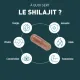 Granions Shilajit