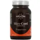 Hifas da Terra Mico-Cord