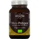 Hifas da Terra Mico-Polypor