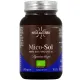 Hifas da Terra Mico-Sol
