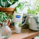 Mustela Crème Hydratante Bio Sans Parfum