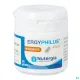 Nutergia Ergyphilus Plus