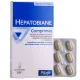 Pileje Hepatobiane