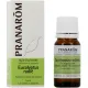 Pranarom Huile essentielle Eucalyptus radié