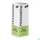 Pranarom Huile Essentielle Menthe des Champs Bio