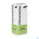 Pranarom Huile Essentielle Menthe des Champs Bio